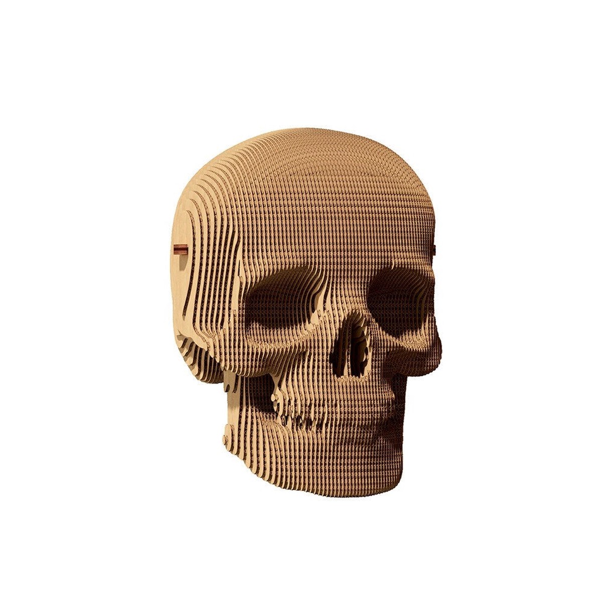 Cartonic 3D Sculpture Puzzle Skull Skull