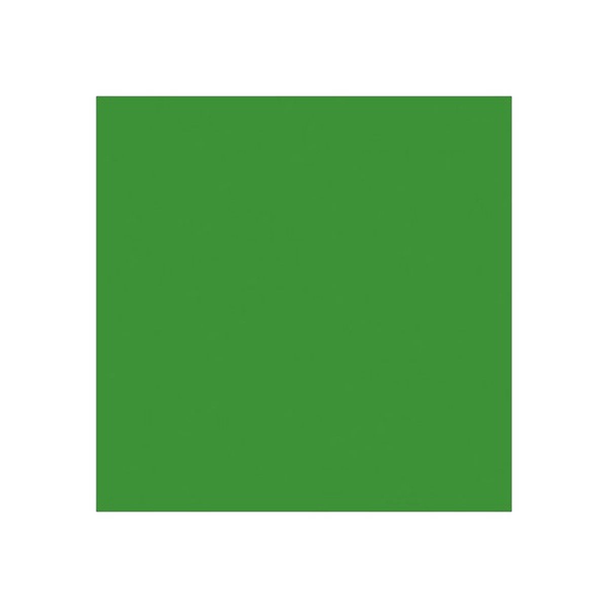 Efcolor Enamel Powder 10Ml Light Green