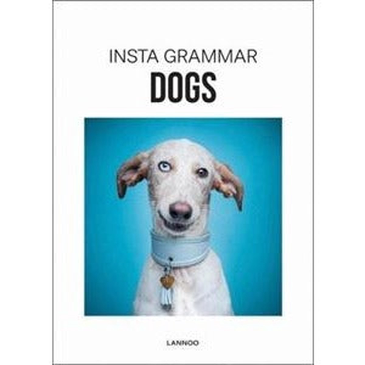 Insta Grammar Dogs