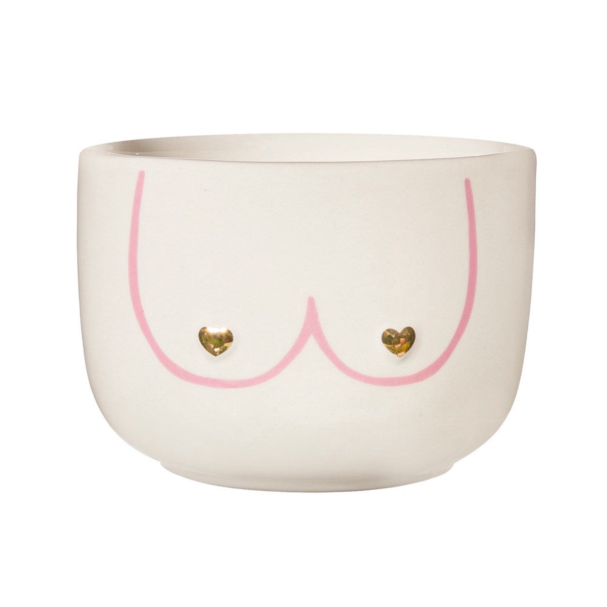 Boobies Large Planter