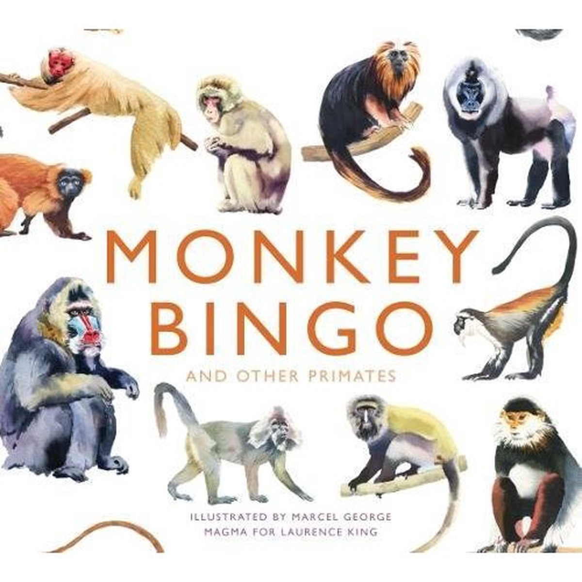 Monkey Bingo