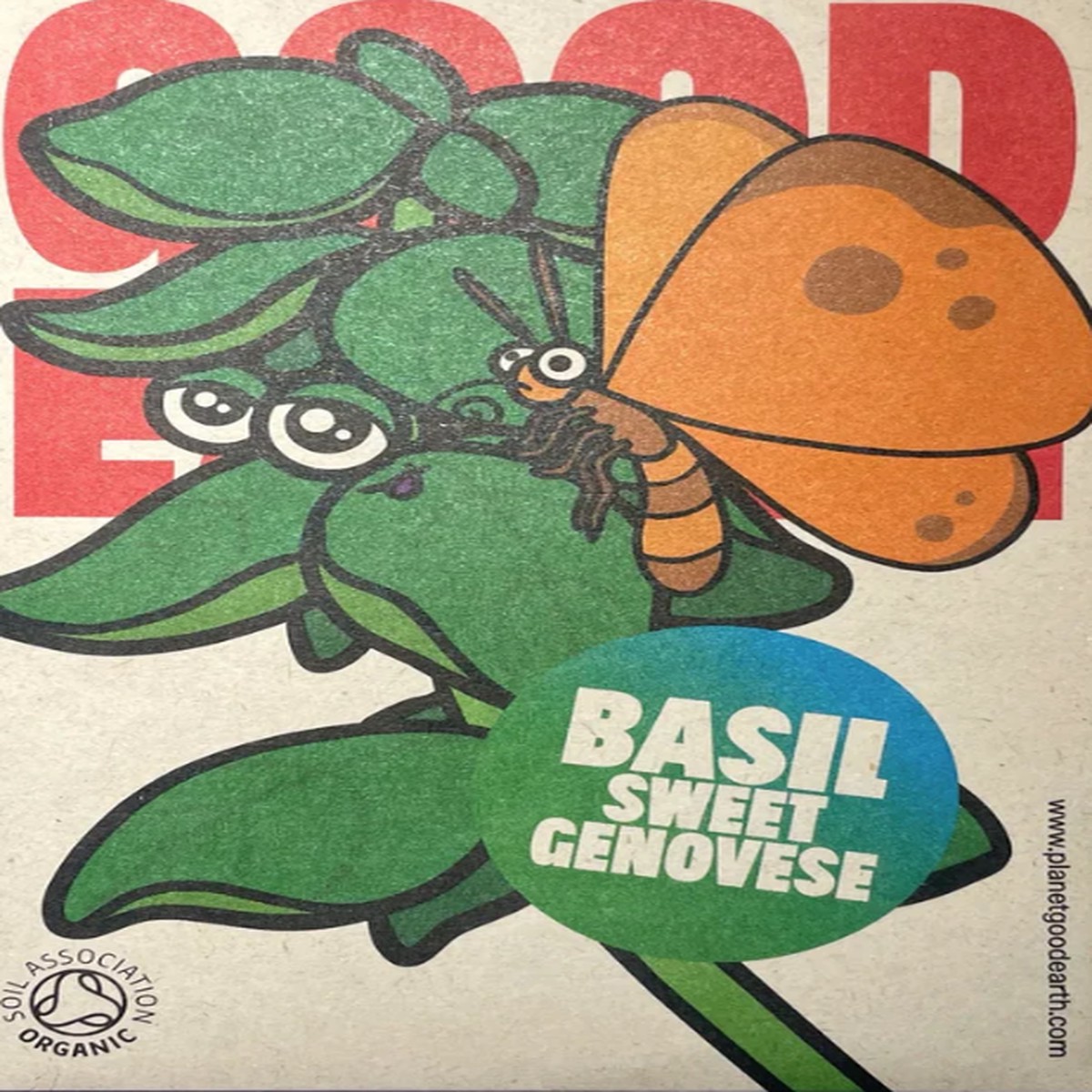 Organic Seeds Basil Sweet Genovese