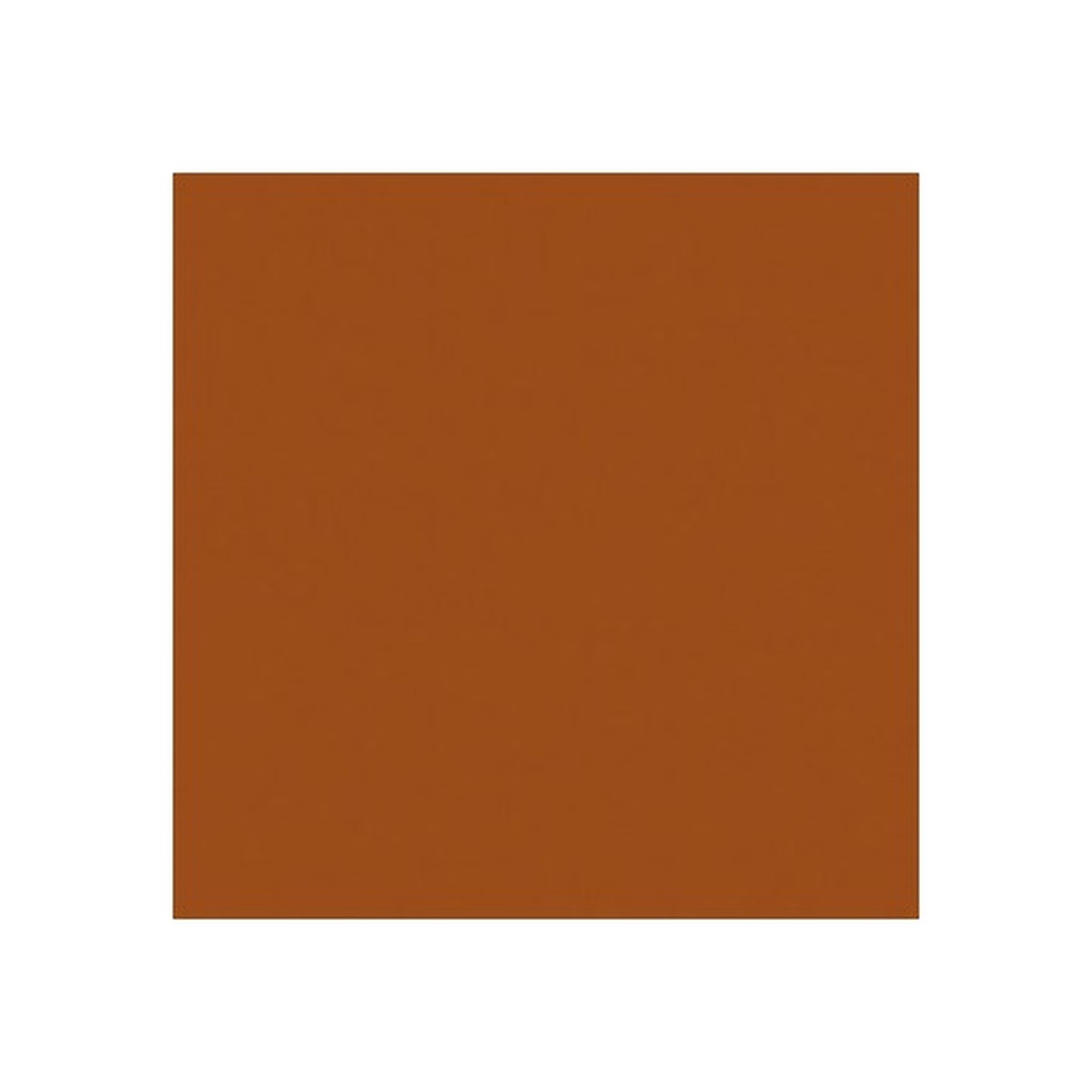 Efcolor Enamel Powder 10Ml Cognac