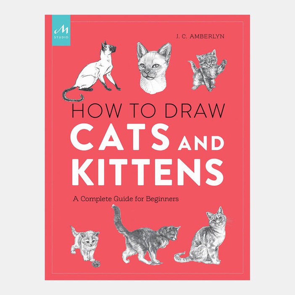 How To Draw Cats And Kittens