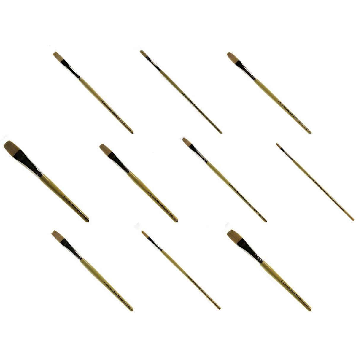 Pro Arte - Series B - Finest Quality Hog Brushes- Long Flat 1