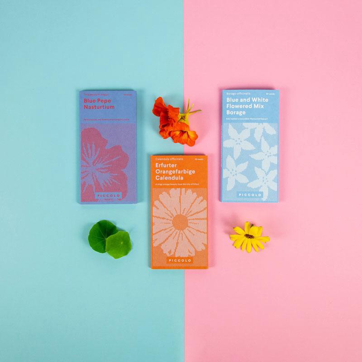 Seed Collection Edible Flowers