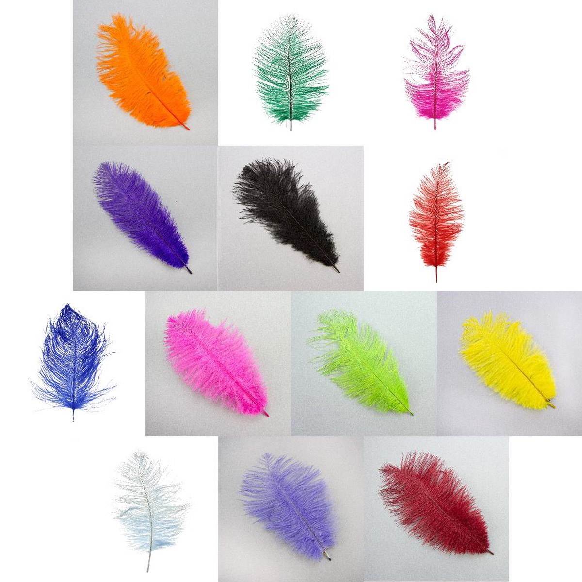 Small Ostrich Feather White
