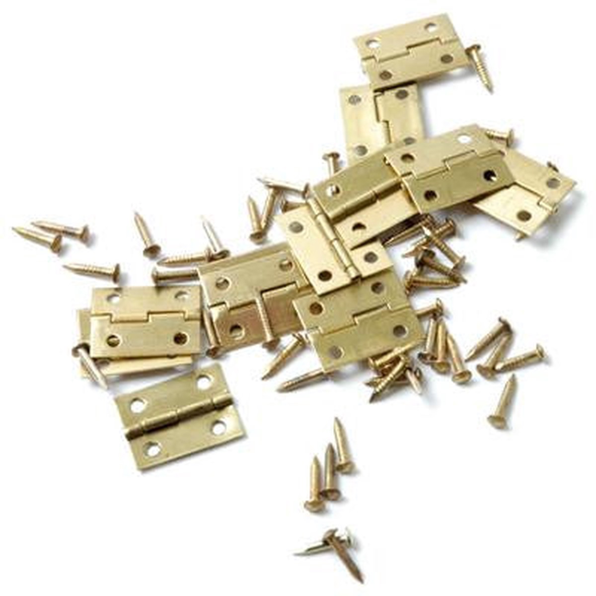 Butt Hinges 19Mm 12 Pk