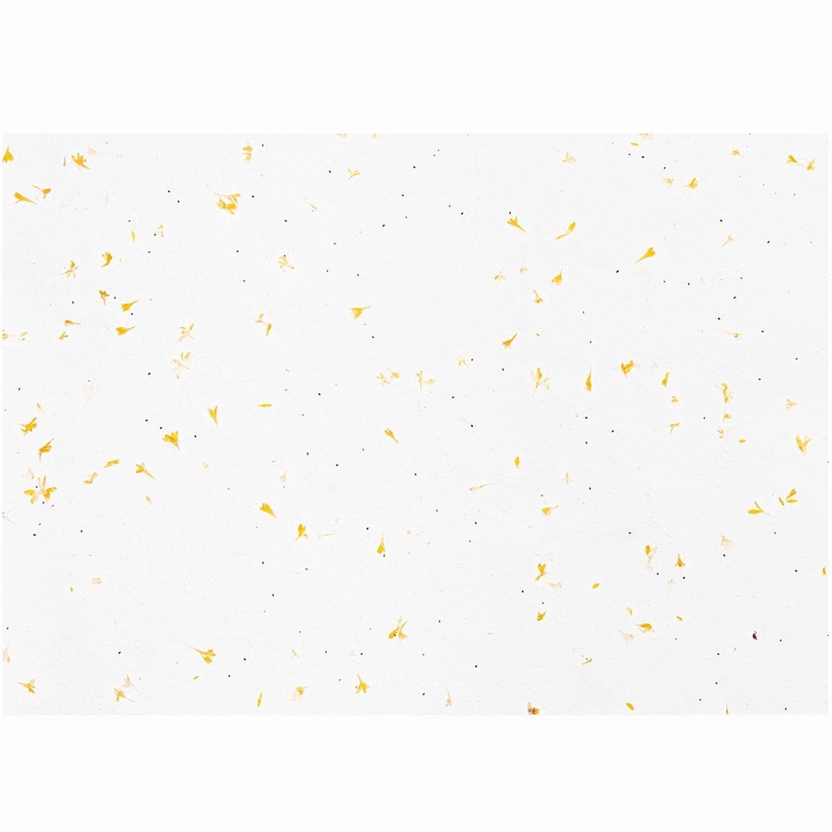 Rico Craft Sheet 50 X 70 Cm Cotton Paper With Flowers