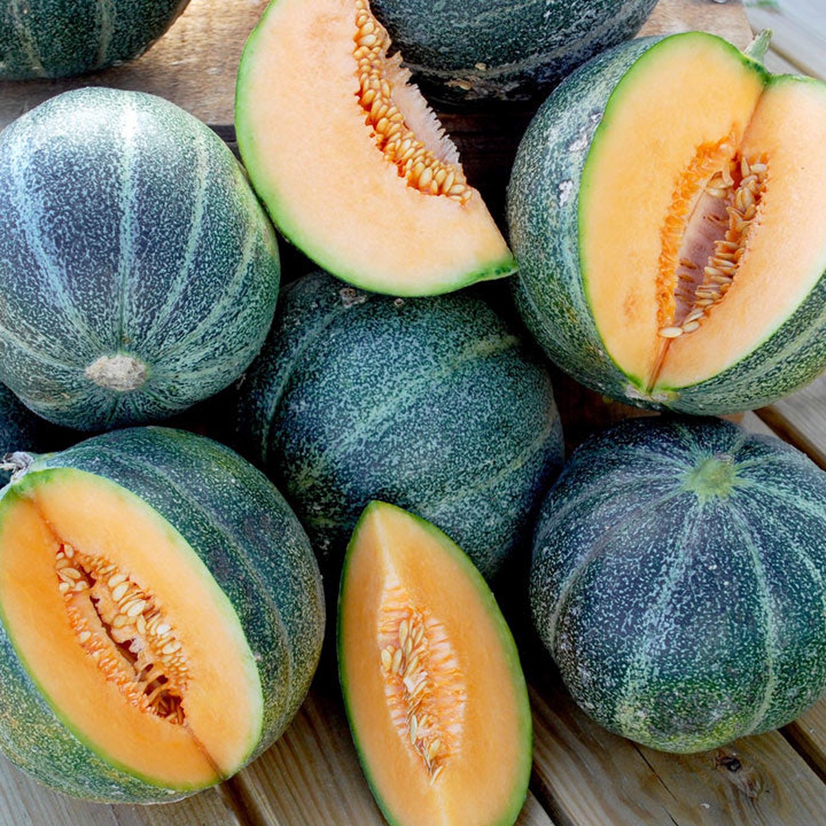 Seed Collection Petit Gris De Rennes Cantaloupe Melon