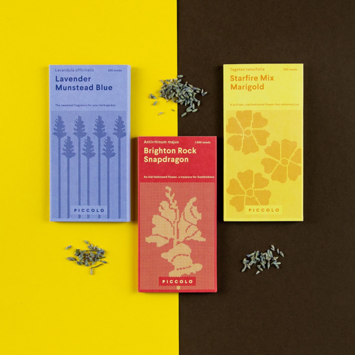 Seed Collection Pollinators Flowers