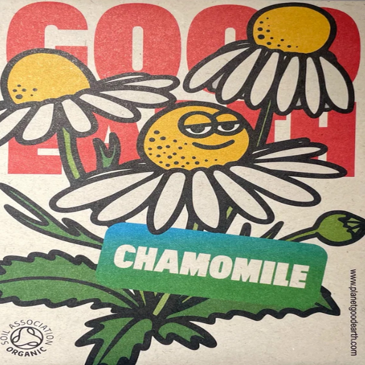 Organic Seeds Chamomile