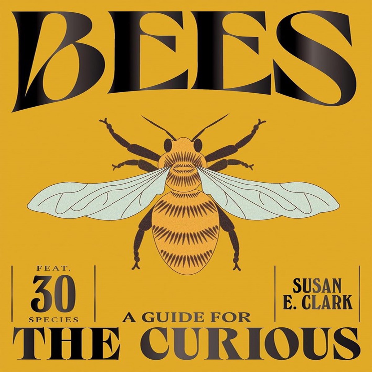 Bees - A Guide For The Curious