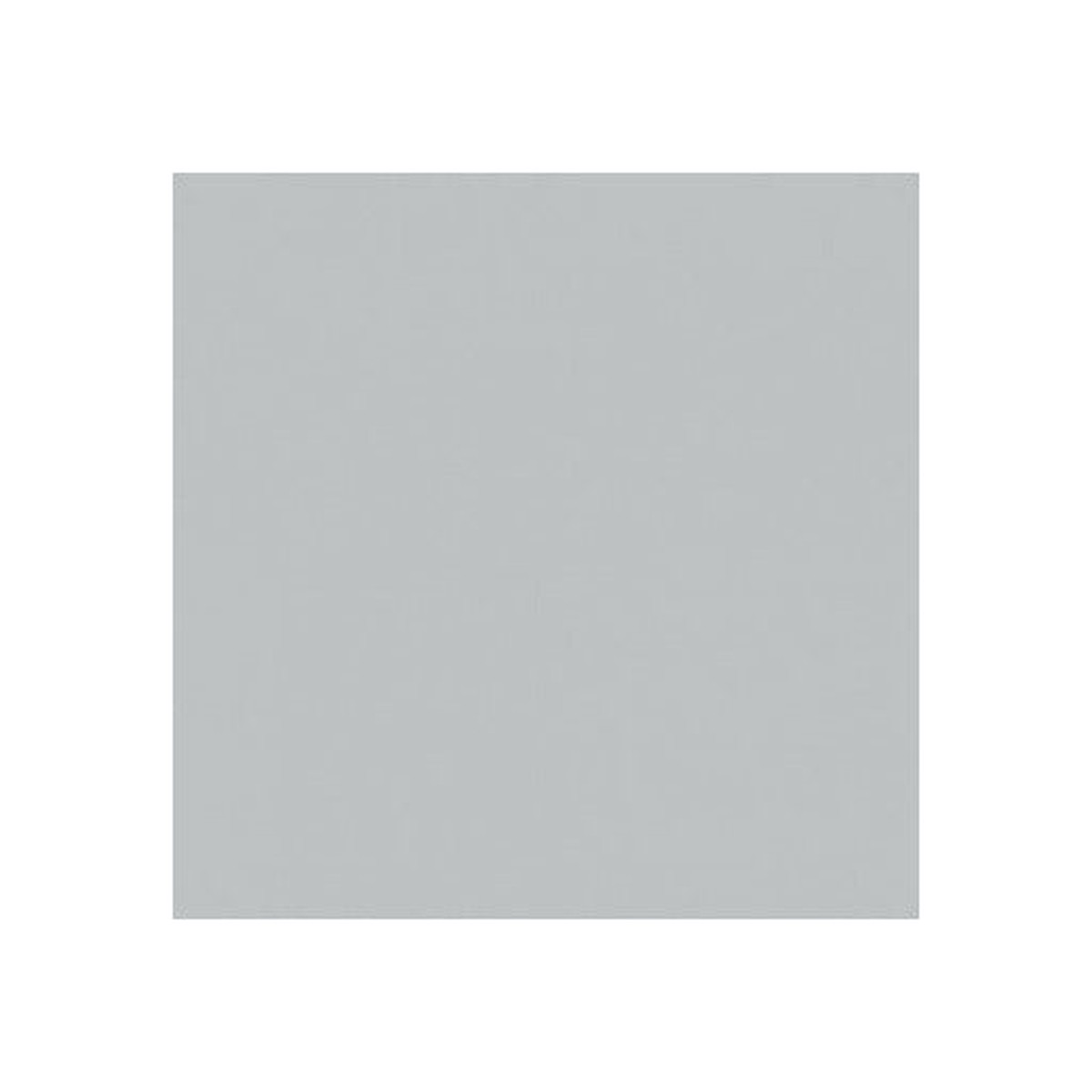 Efcolor Enamel Powder 10Ml Silvergrey