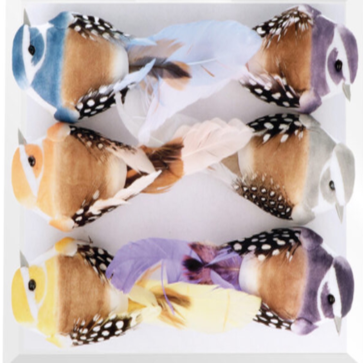 Set Of 6 Birds With Crocodile Clips