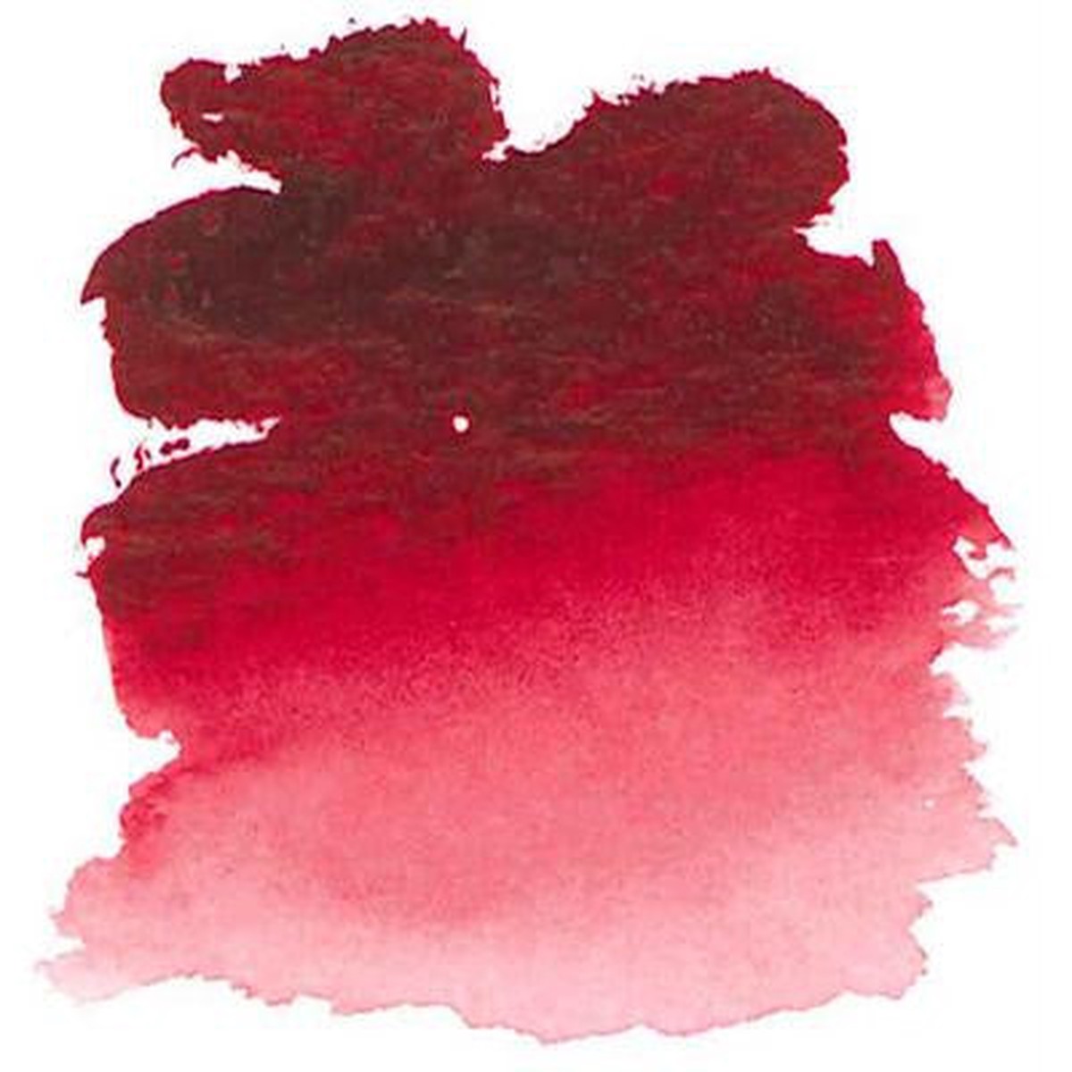 WN - Professional Water Colour Half Pan