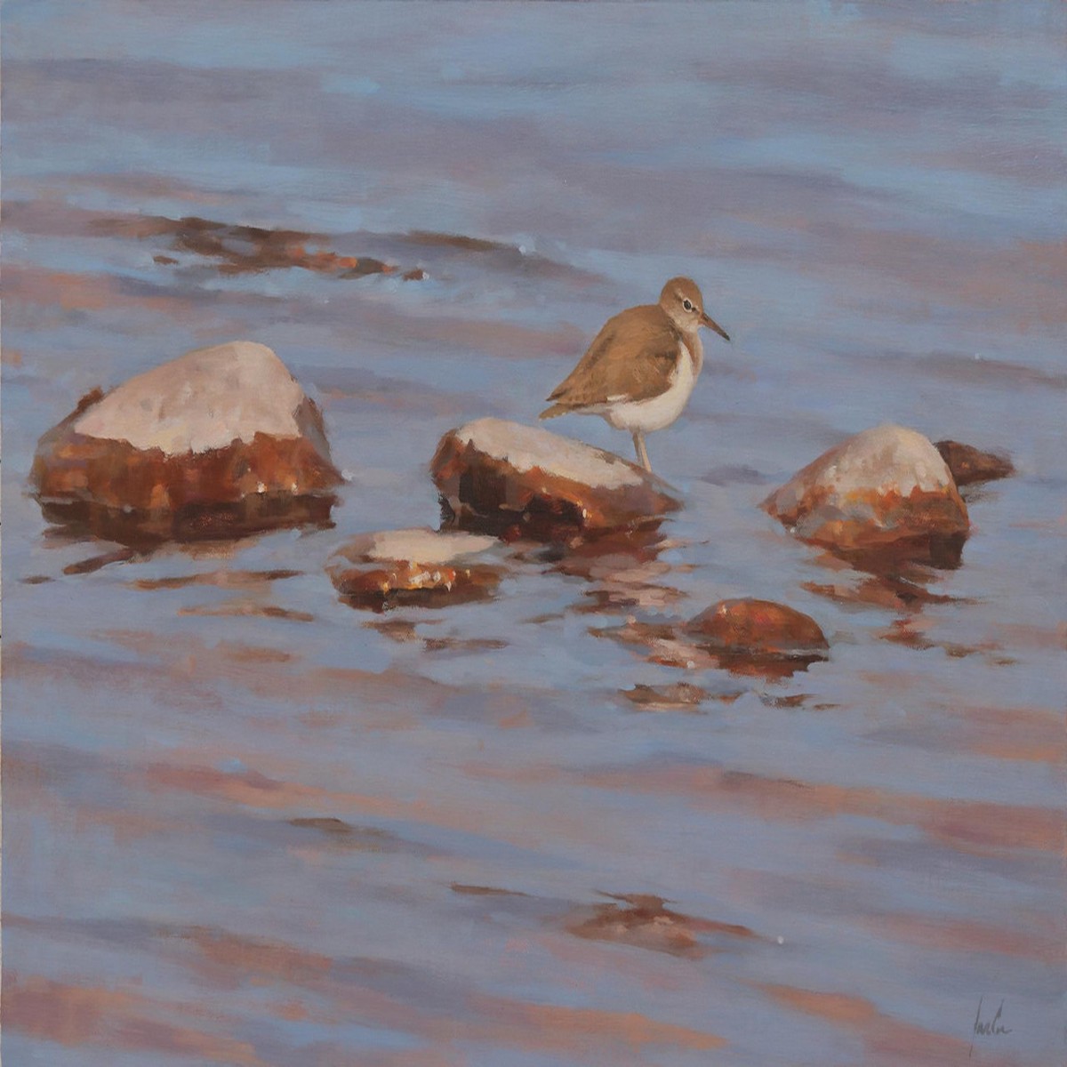 052 - Rocks in the shallows