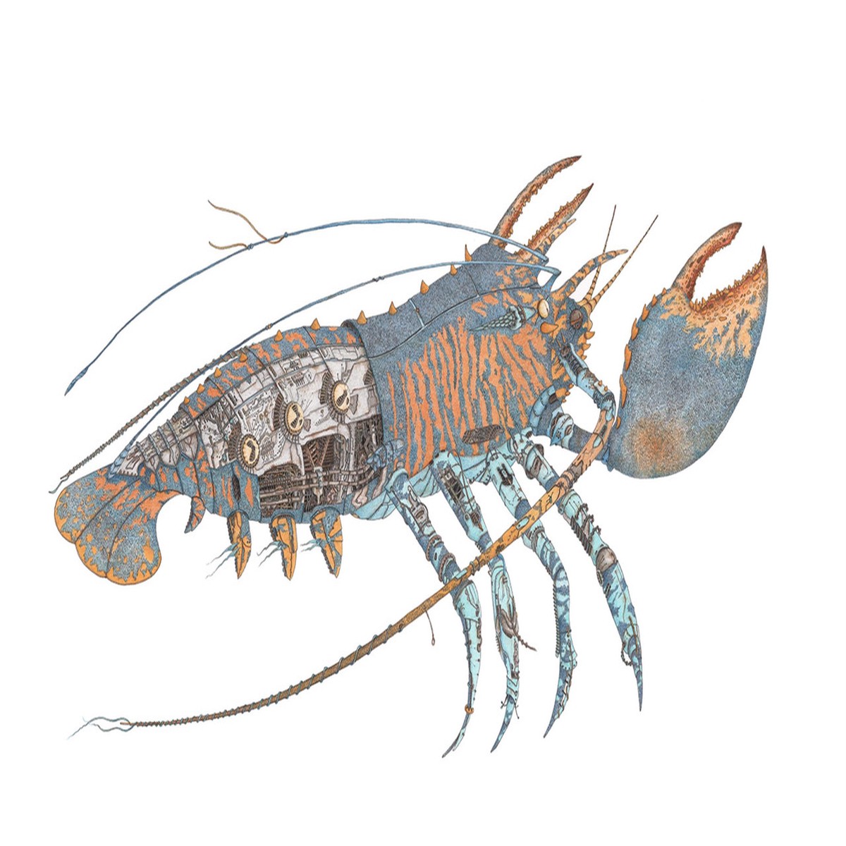 100 - Futurlobster