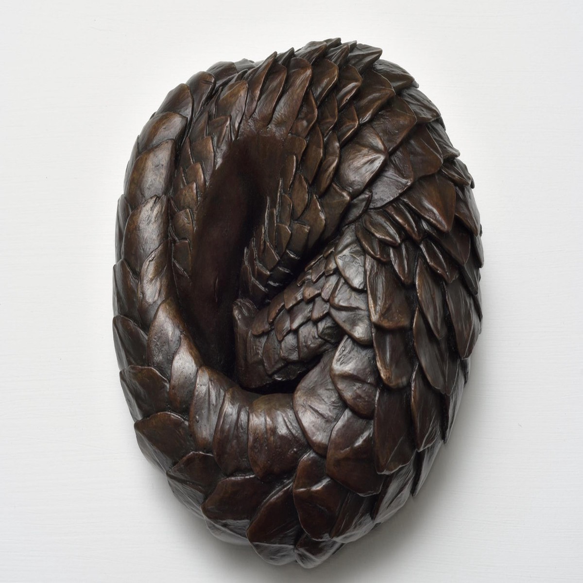 227 - Pangolin