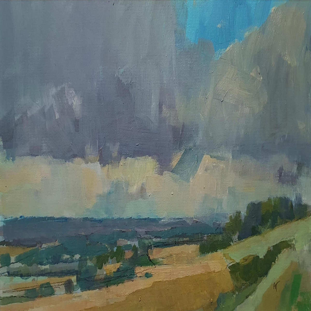 373 - Raincloud over the Downs