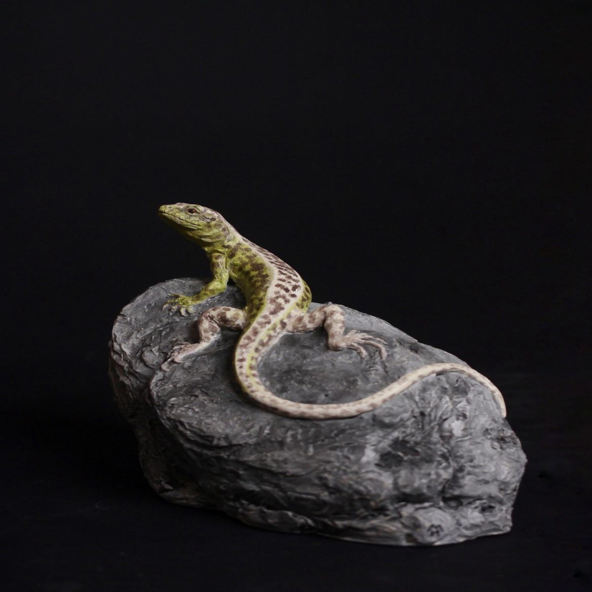 124 - Sand Lizard