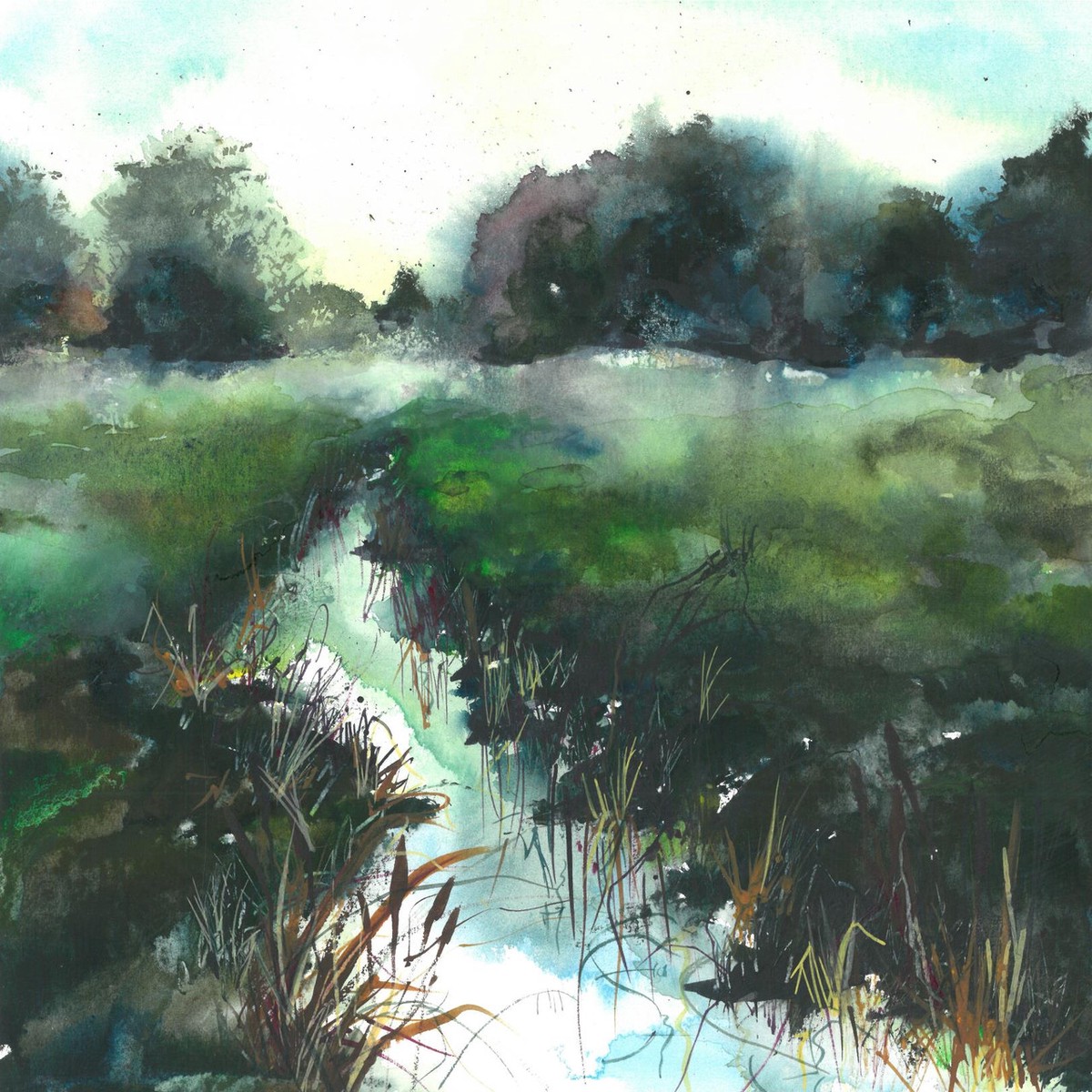 505 - Soggy Marshland