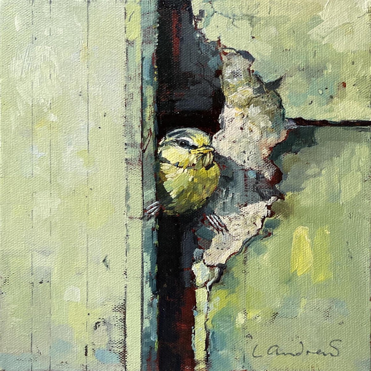 024 - Too fat to fledge