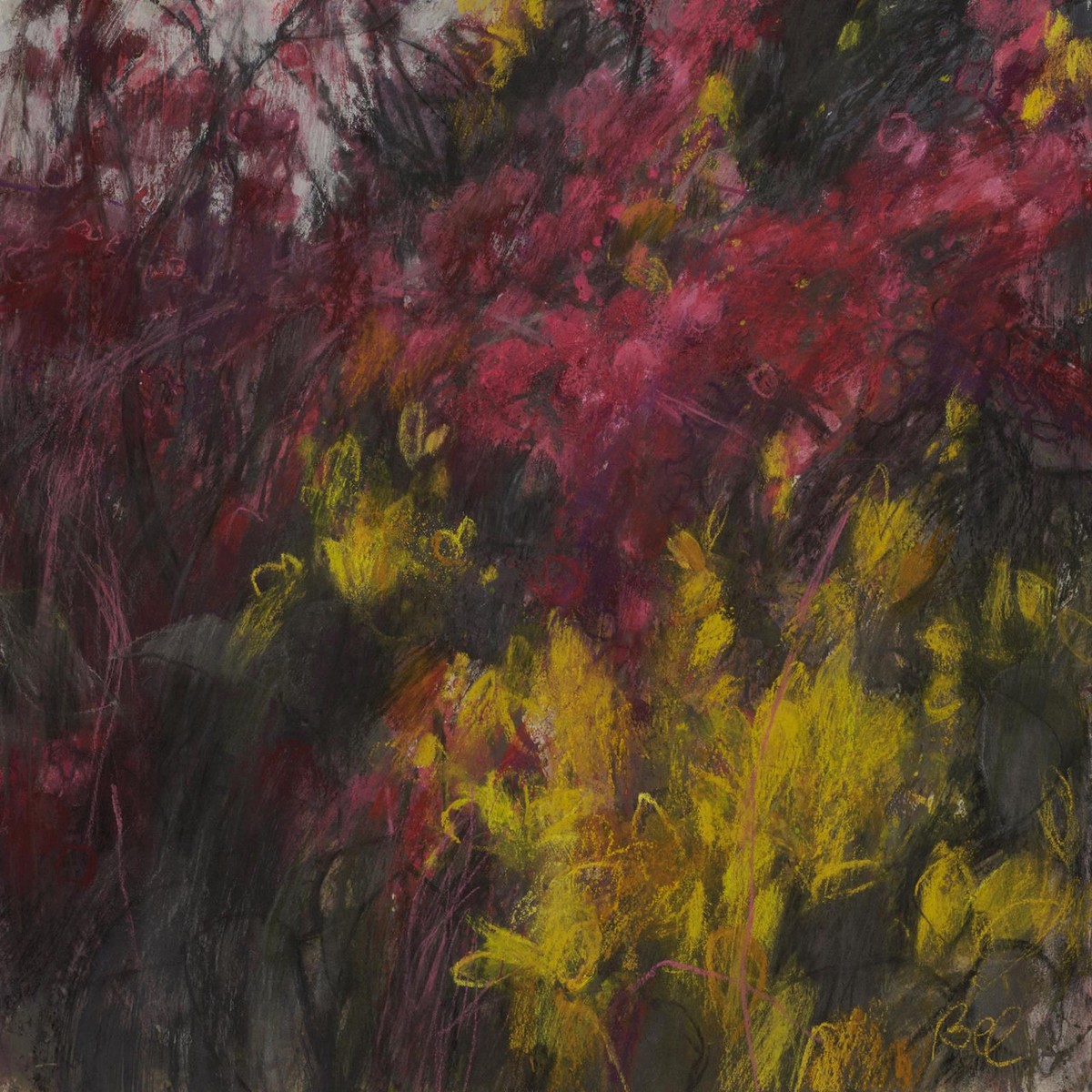 050 - Hawthorn and Gorse
