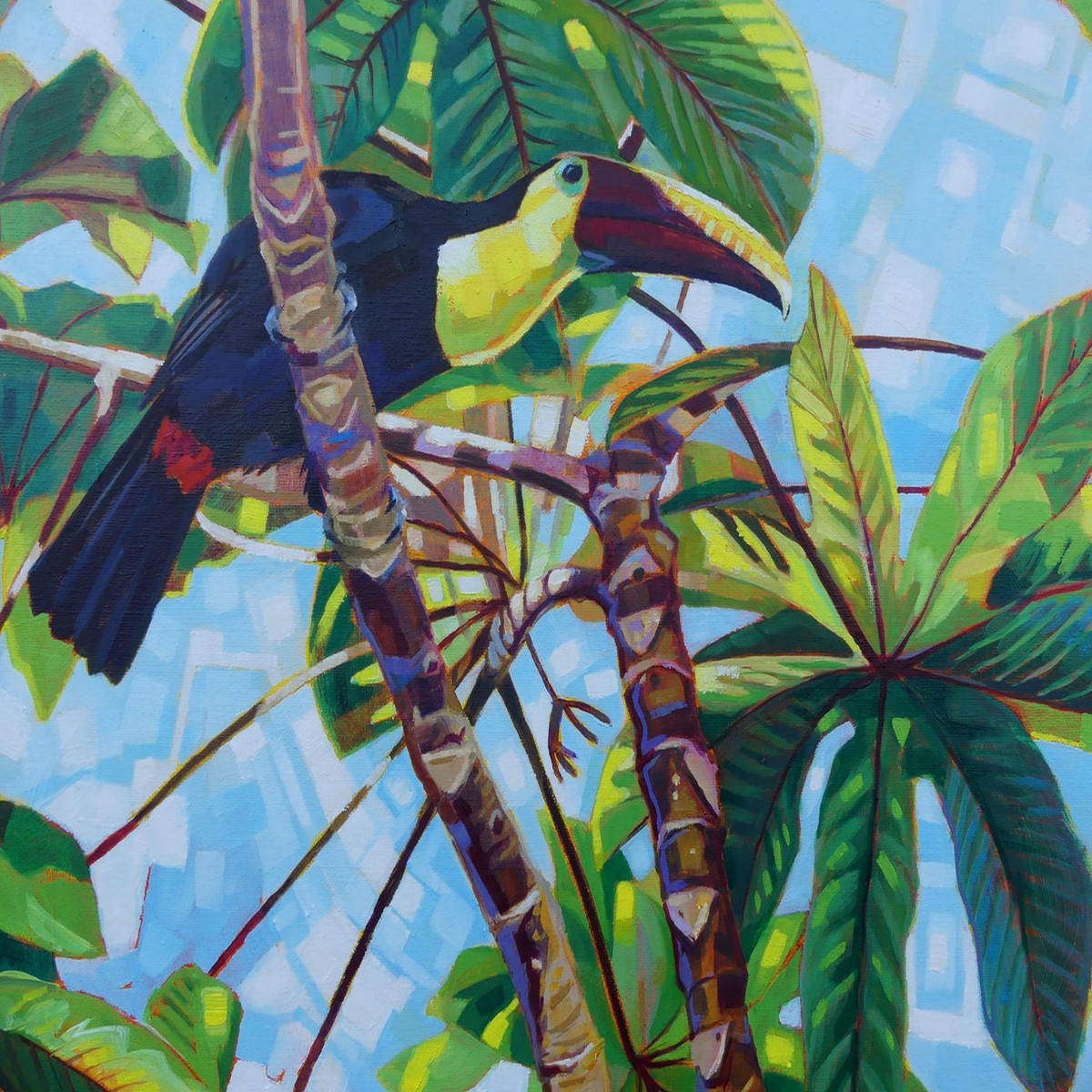 086 - Yellow-throated Toucan