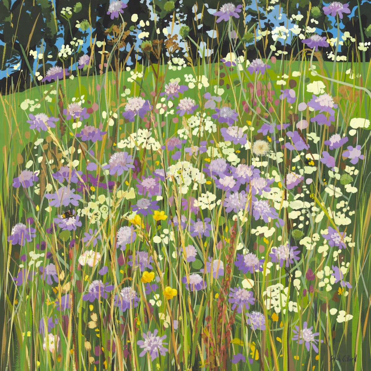 113 - Davids meadow