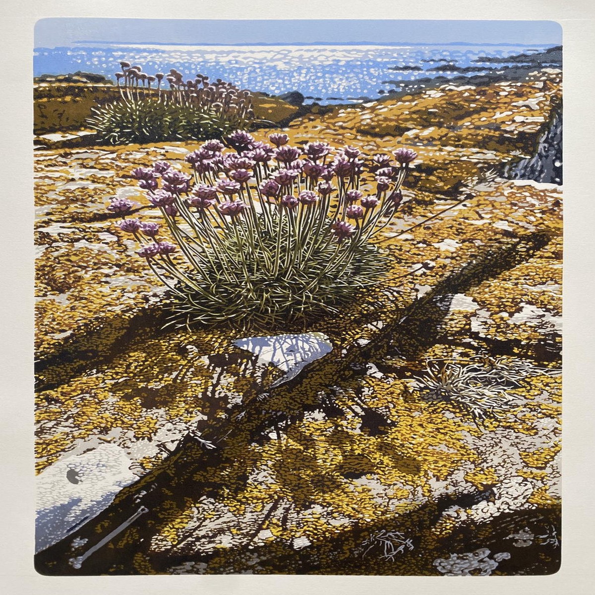 209 - Seapink Shadows
