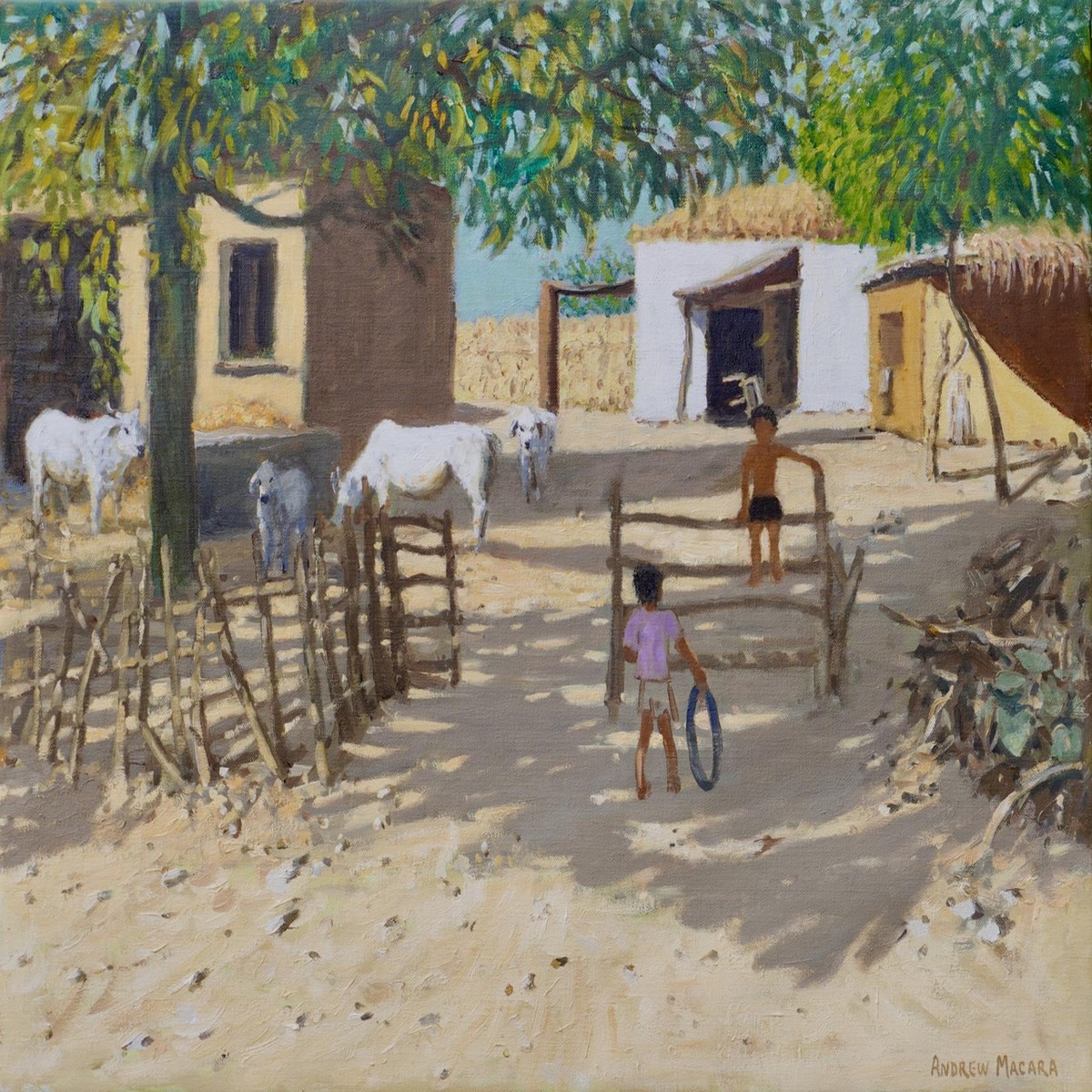 217 - Farmyard India