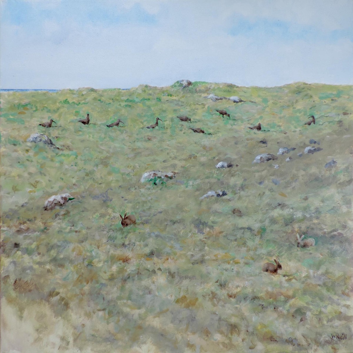 222 - Beltane Curlews