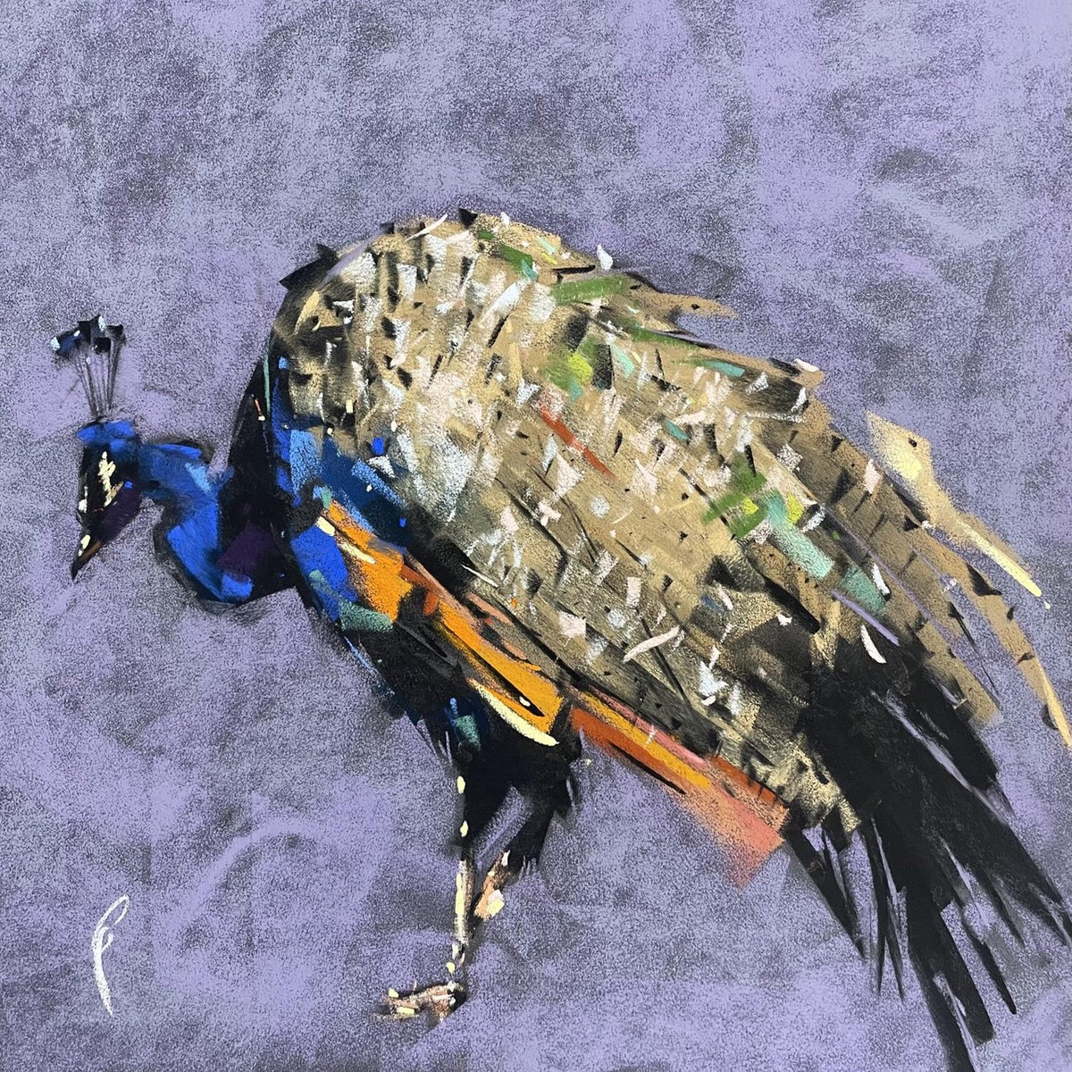 240 - Peacock