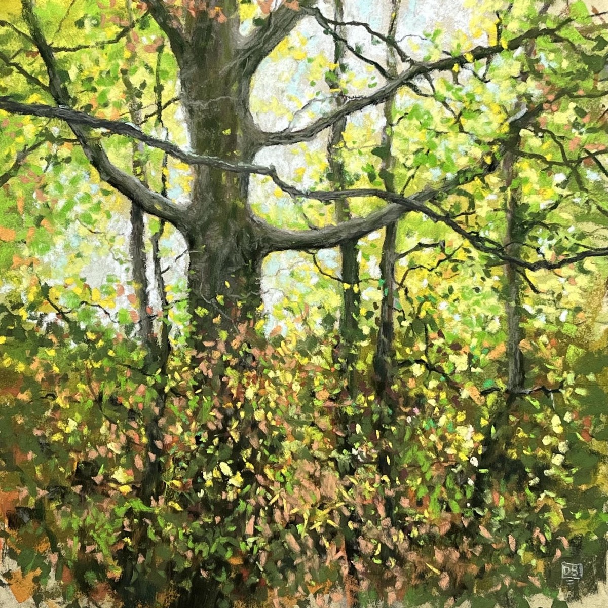 066 - Finding Shade