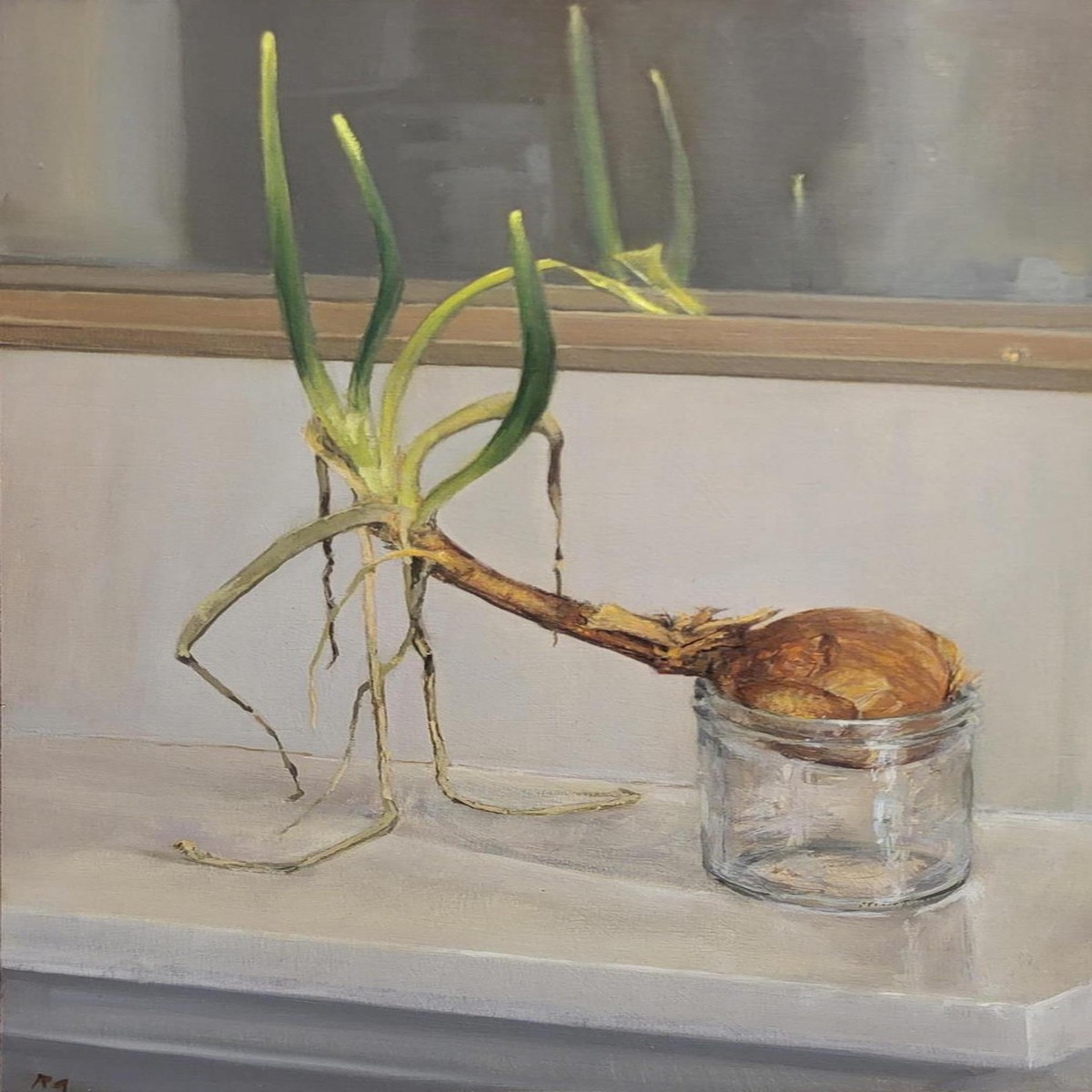147 - Onion Narcissus
