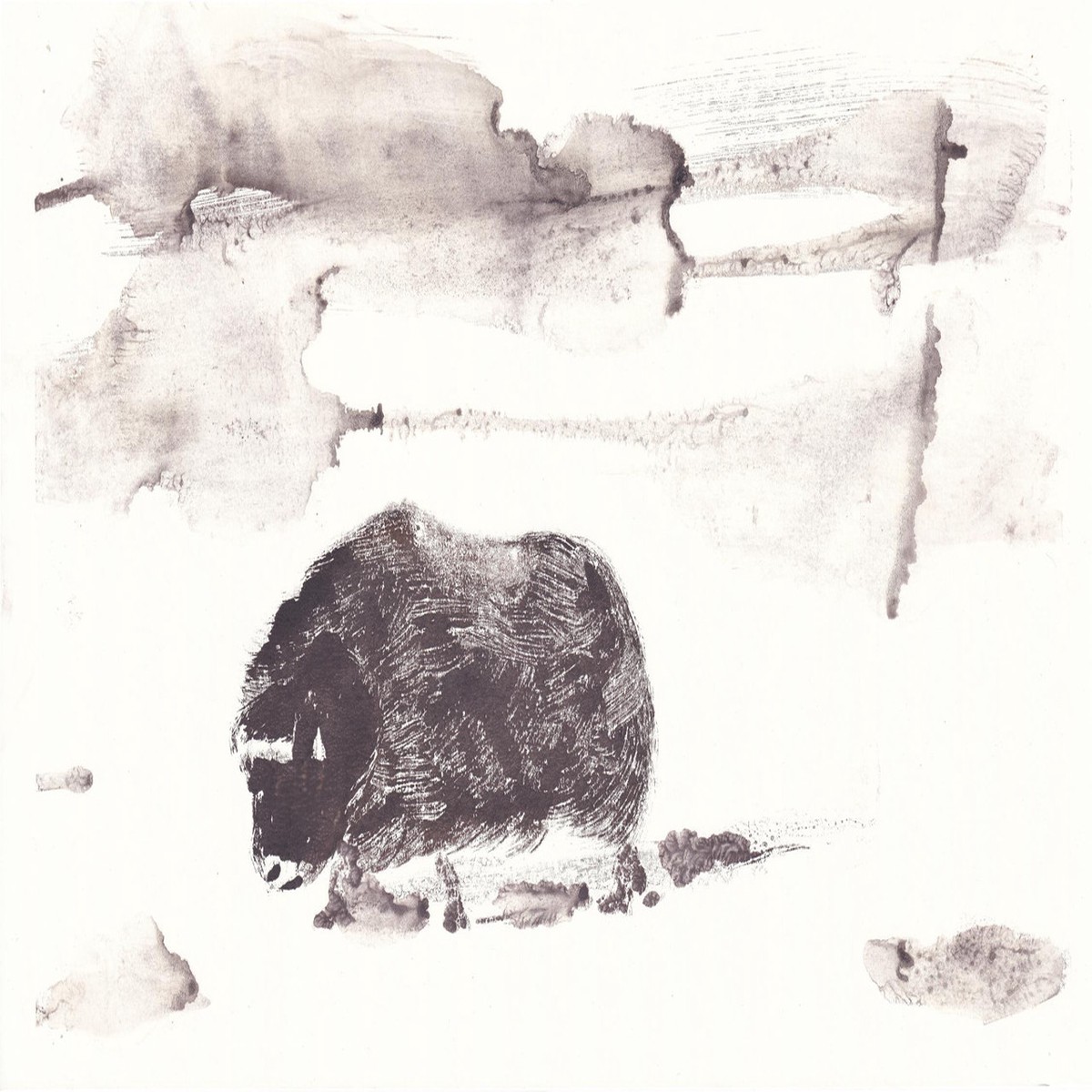192 - Young Muskox