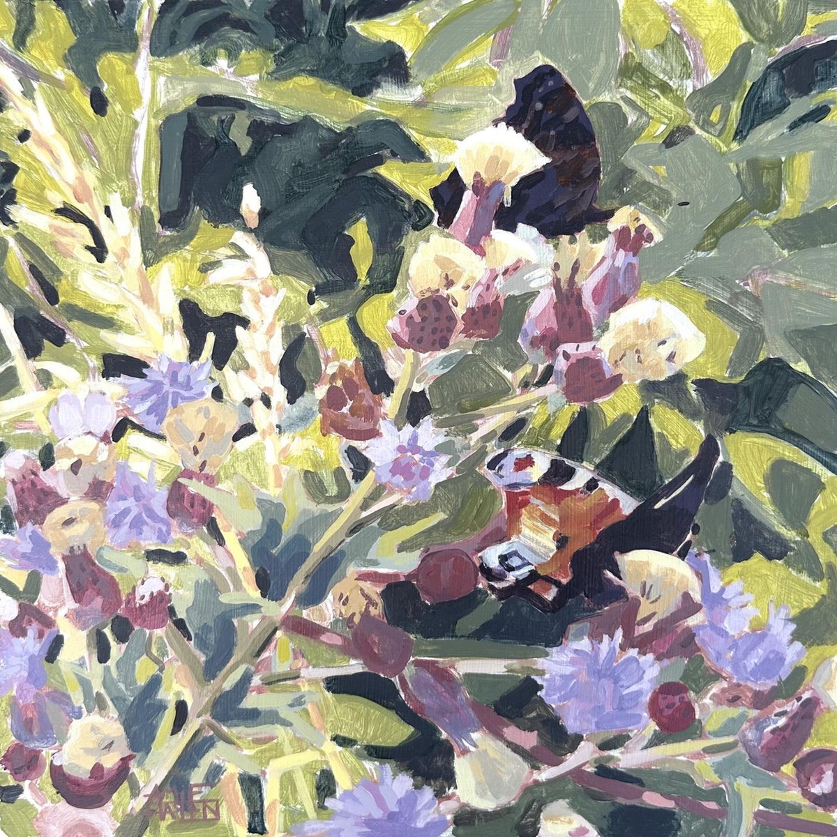 131 - Peacocks and Thistles
