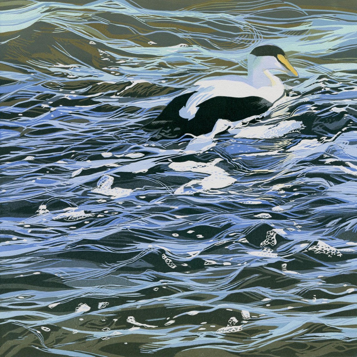 356 - In the shallows