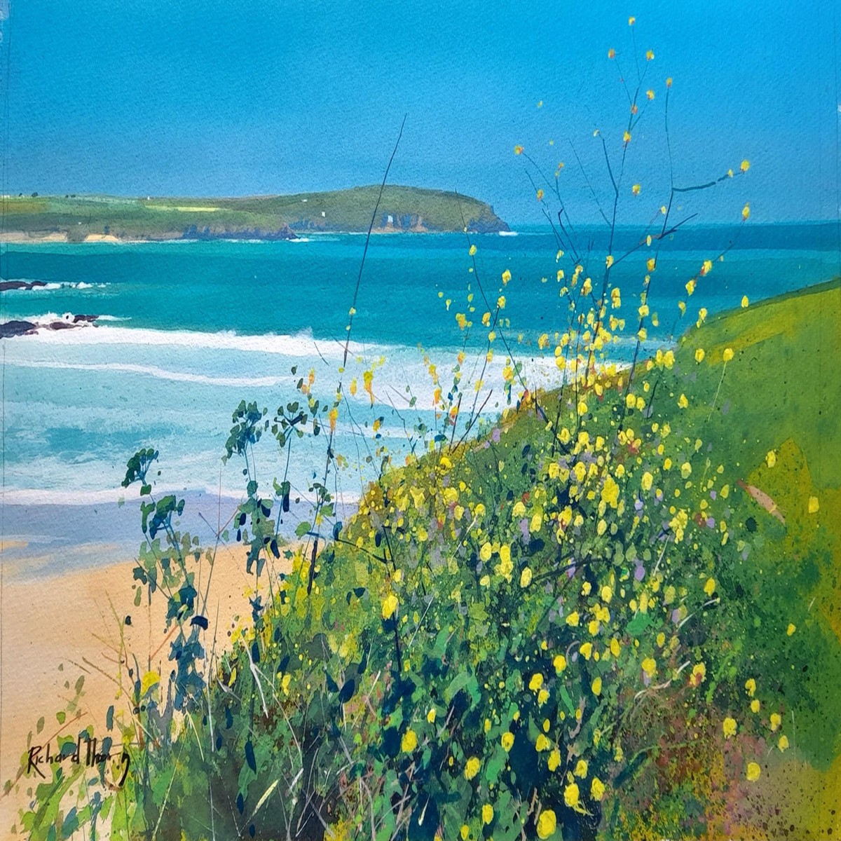 402 - Cornwall Surf