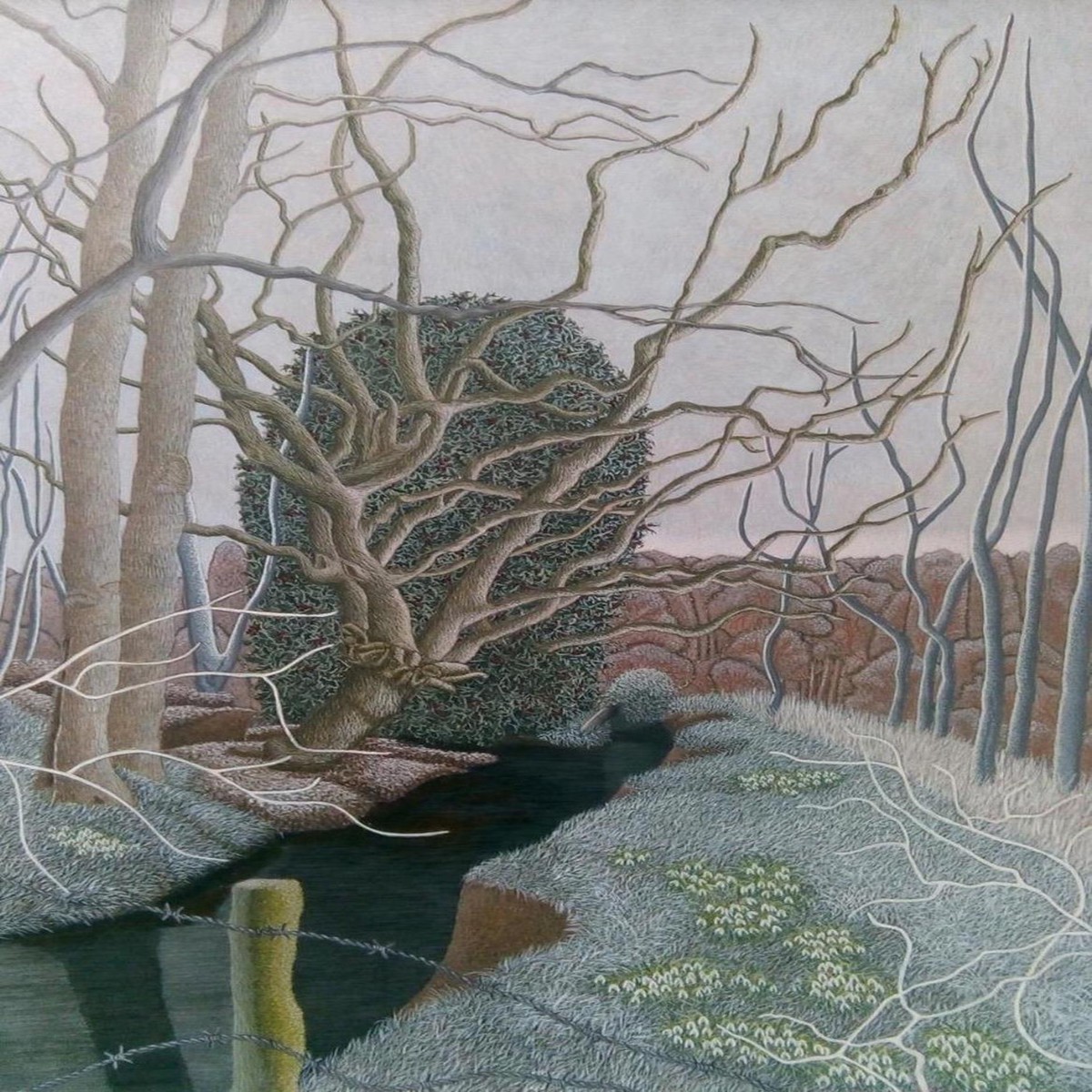 004 - The Winter of a Tree