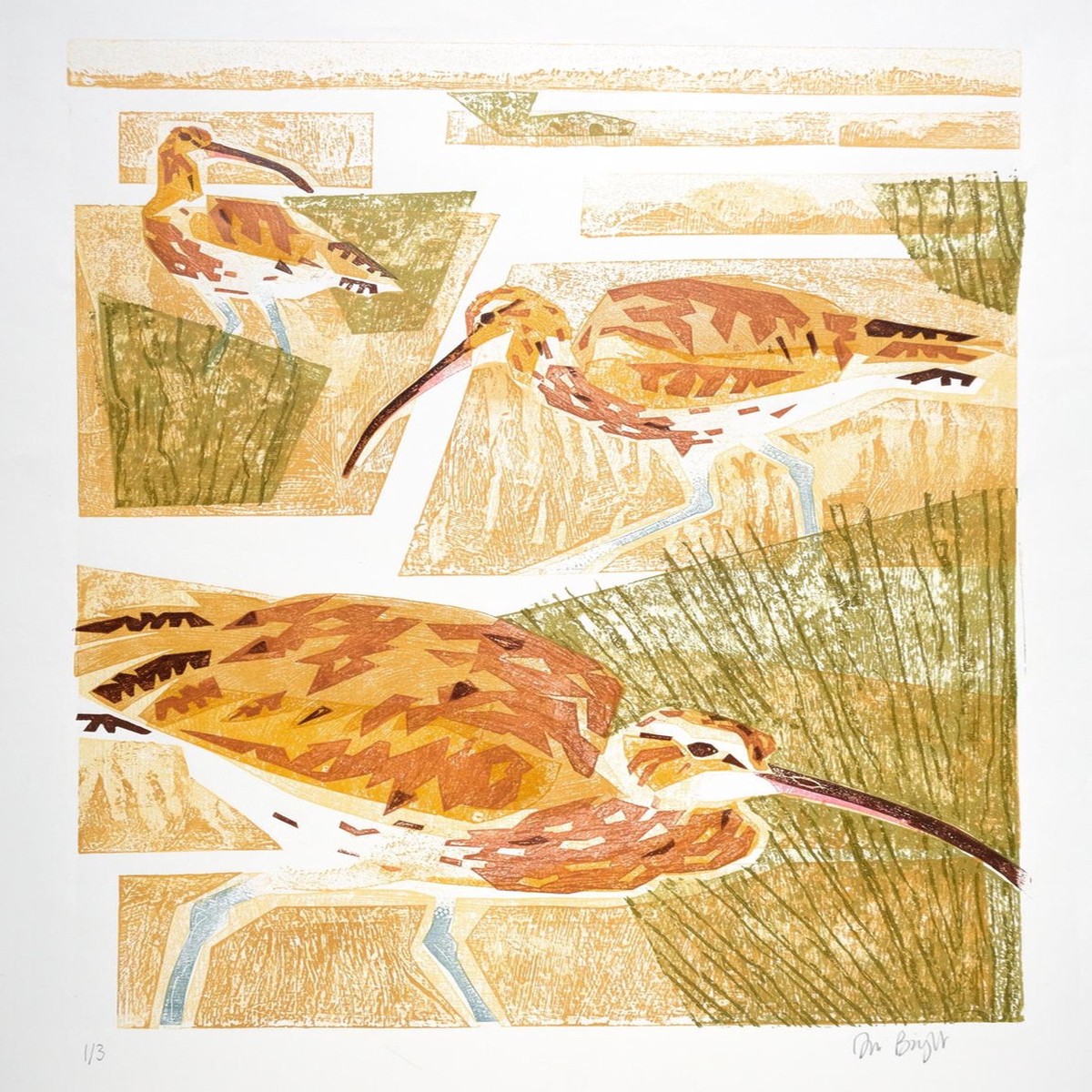 042 - Feeding Curlew