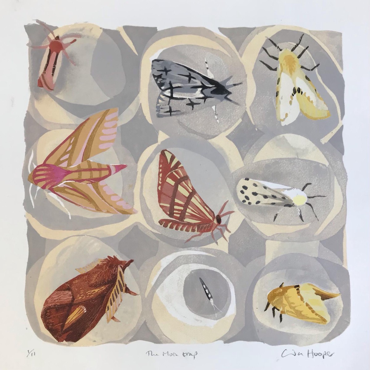 147 - The Moth trap