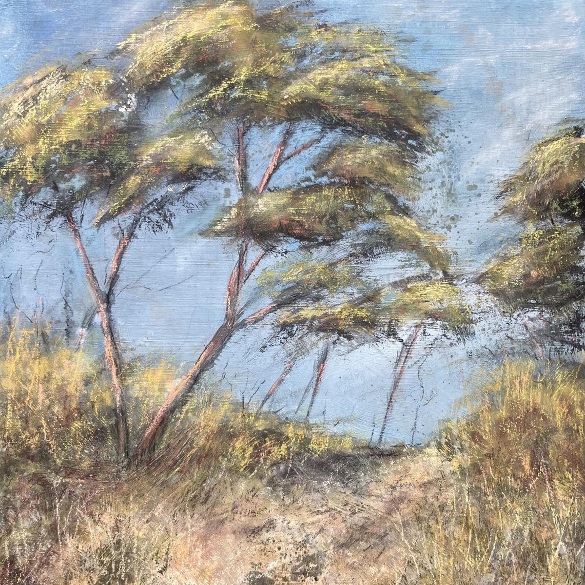 257 - Sentinels on Sun-Warmed Hills