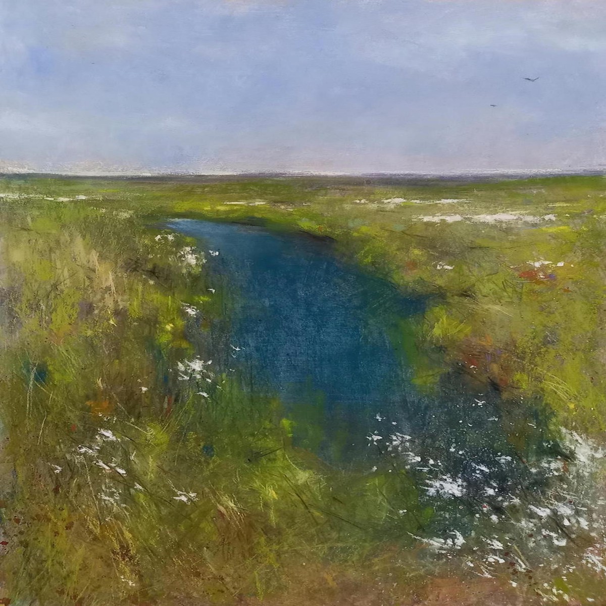 354 - Wind through the Cottongrass