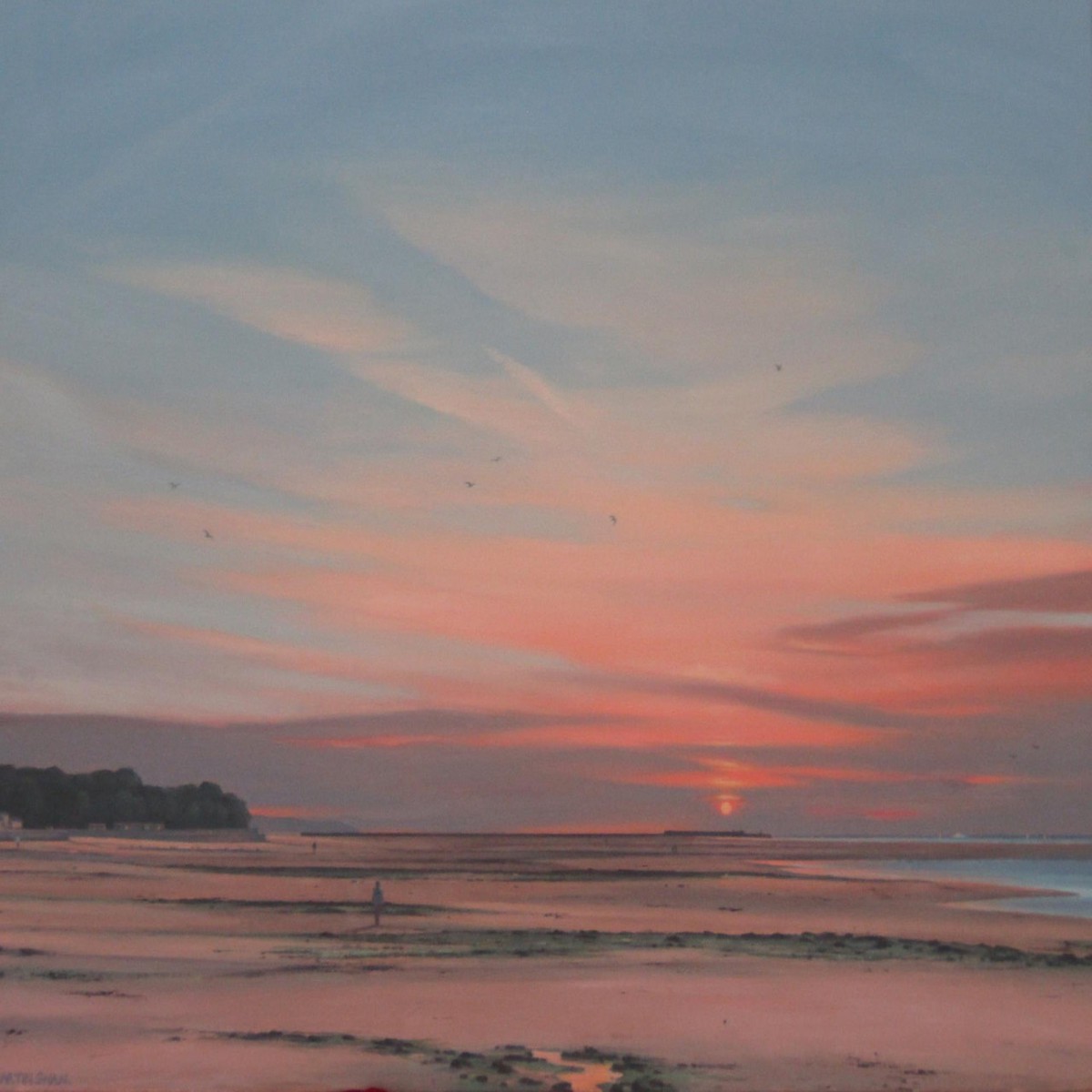 393 - Late Evening at Seaview