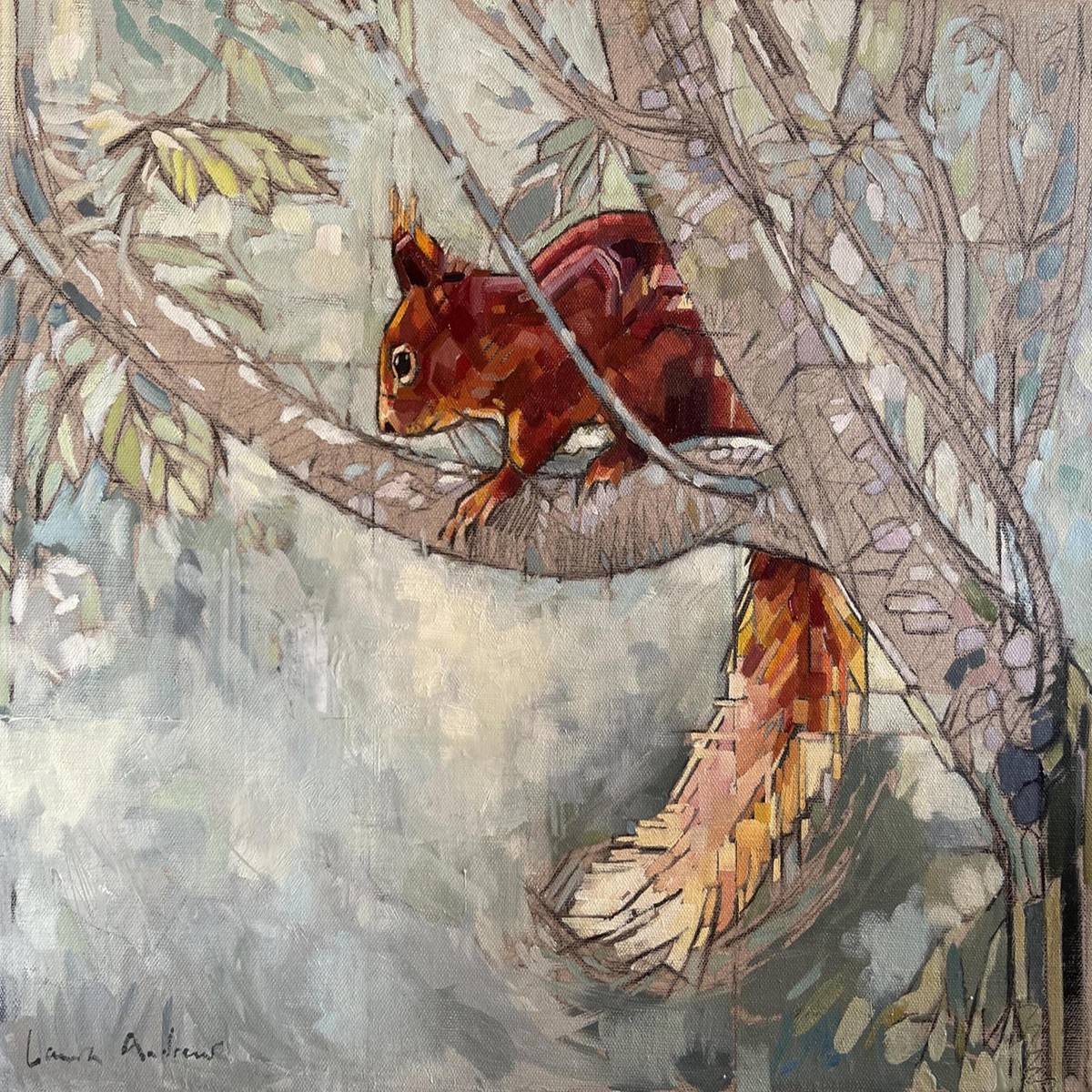 021 - Red Squirrel in Sycamore
