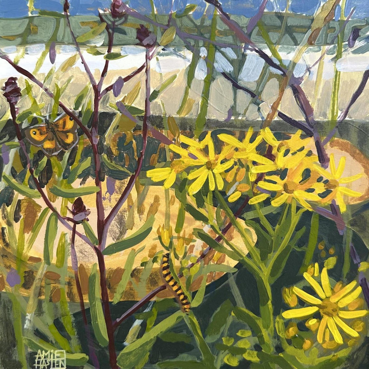117 - Gatekeeper in the meadow