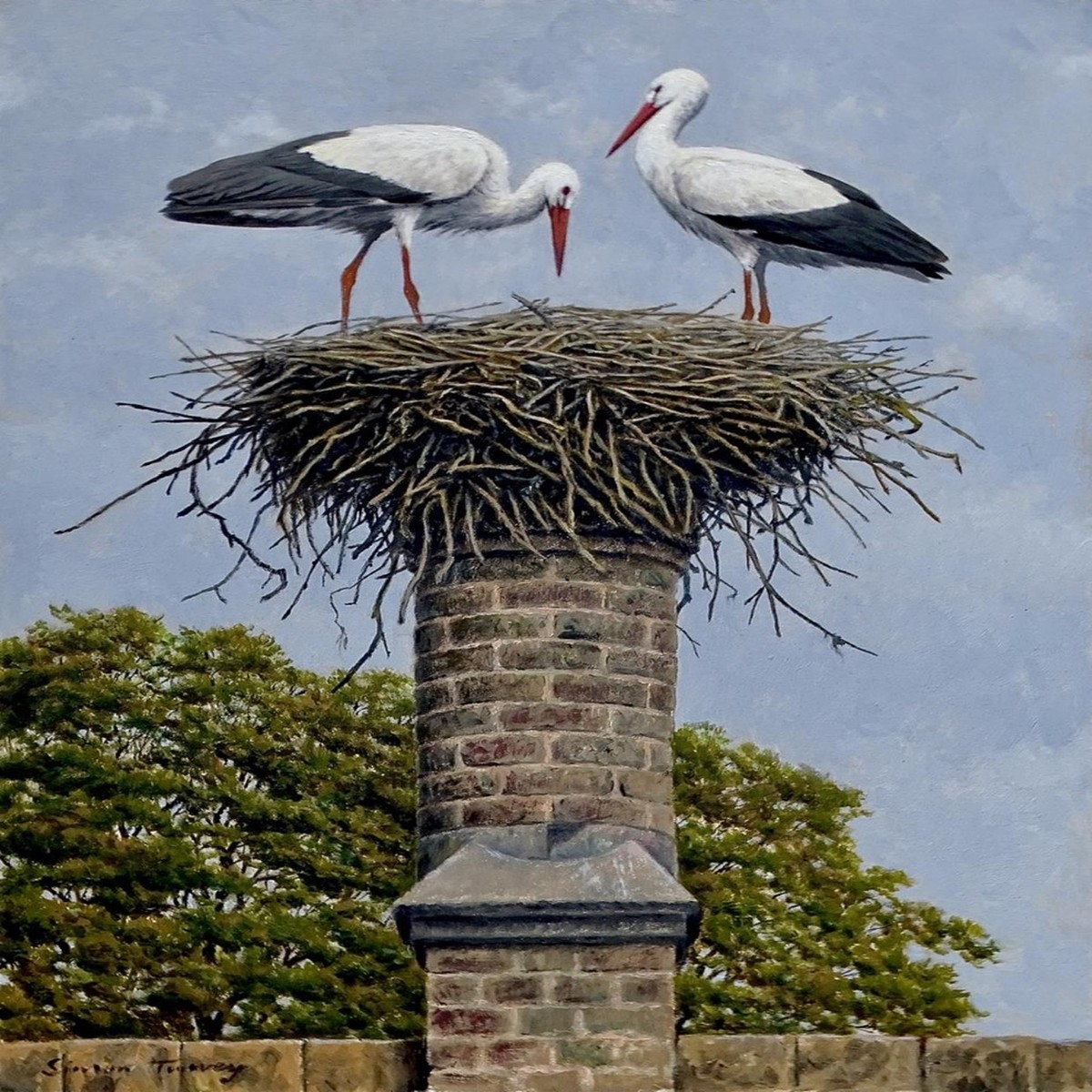 329 - White Storks - Belgium