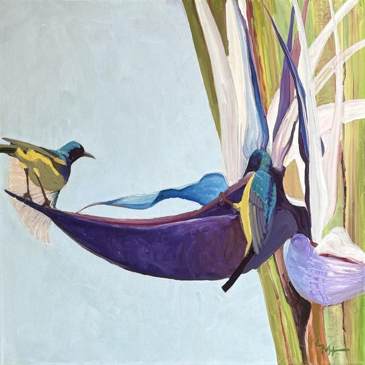 147 - Pair of Variable Sunbirds on Giant Strelitzia